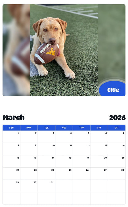 November 2025 - October 2026 Ellie - Pawidols Pet Calendar