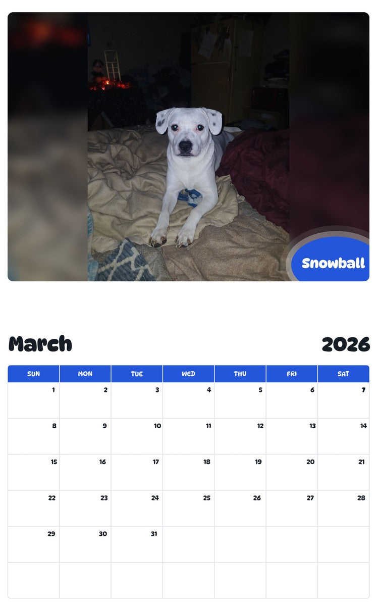 November 2025 - October 2026 Snowball - Pawidols Pet Calendar