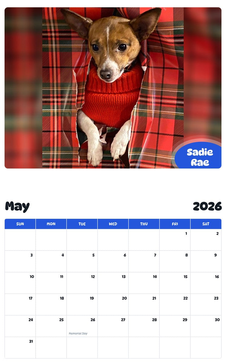 2026 - 2027 Sadie Rae - Pawidols Pet Calendar