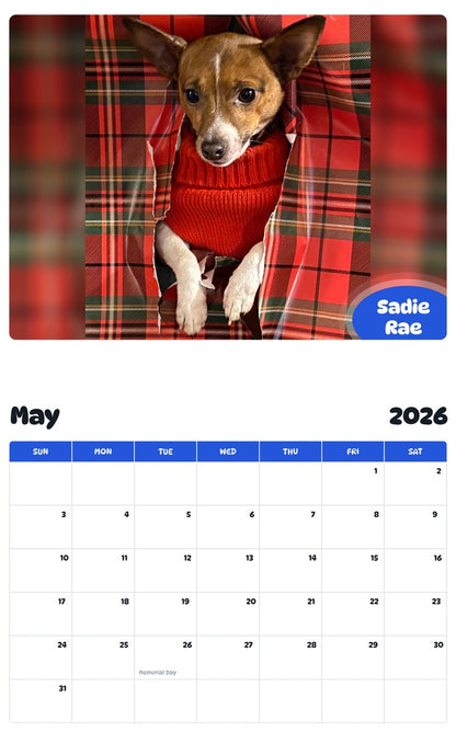 2026 - 2027 Sadie Rae - Pawidols Pet Calendar
