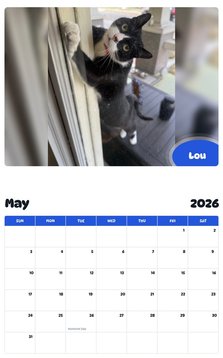 2026 - 2027 Lou - Pawidols Pet Calendar