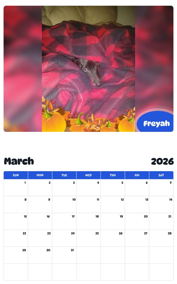 November 2025 - October 2026 Freyah - Pawidols Pet Calendar