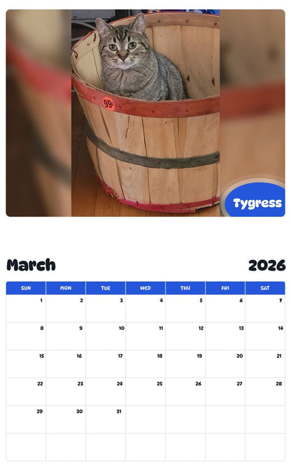 November 2025 - October 2026 Tygress - Pawidols Pet Calendar