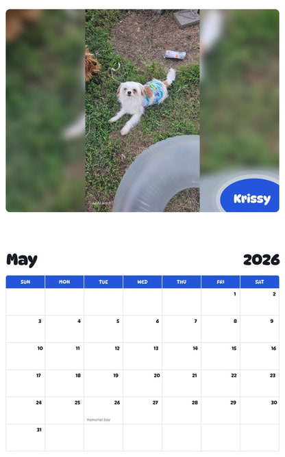 2026 - 2027 Krissy - Pawidols Pet Calendar