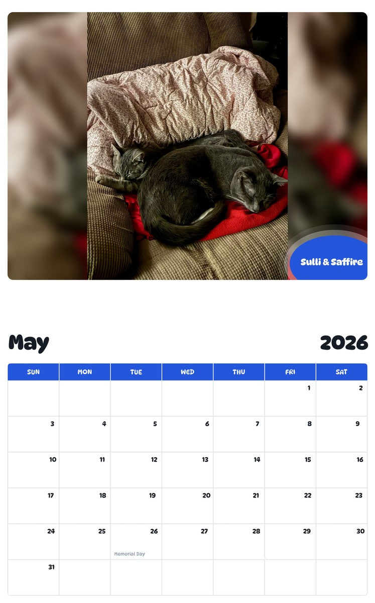 2026 - 2027 Sulli & Saffire - Pawidols Pet Calendar