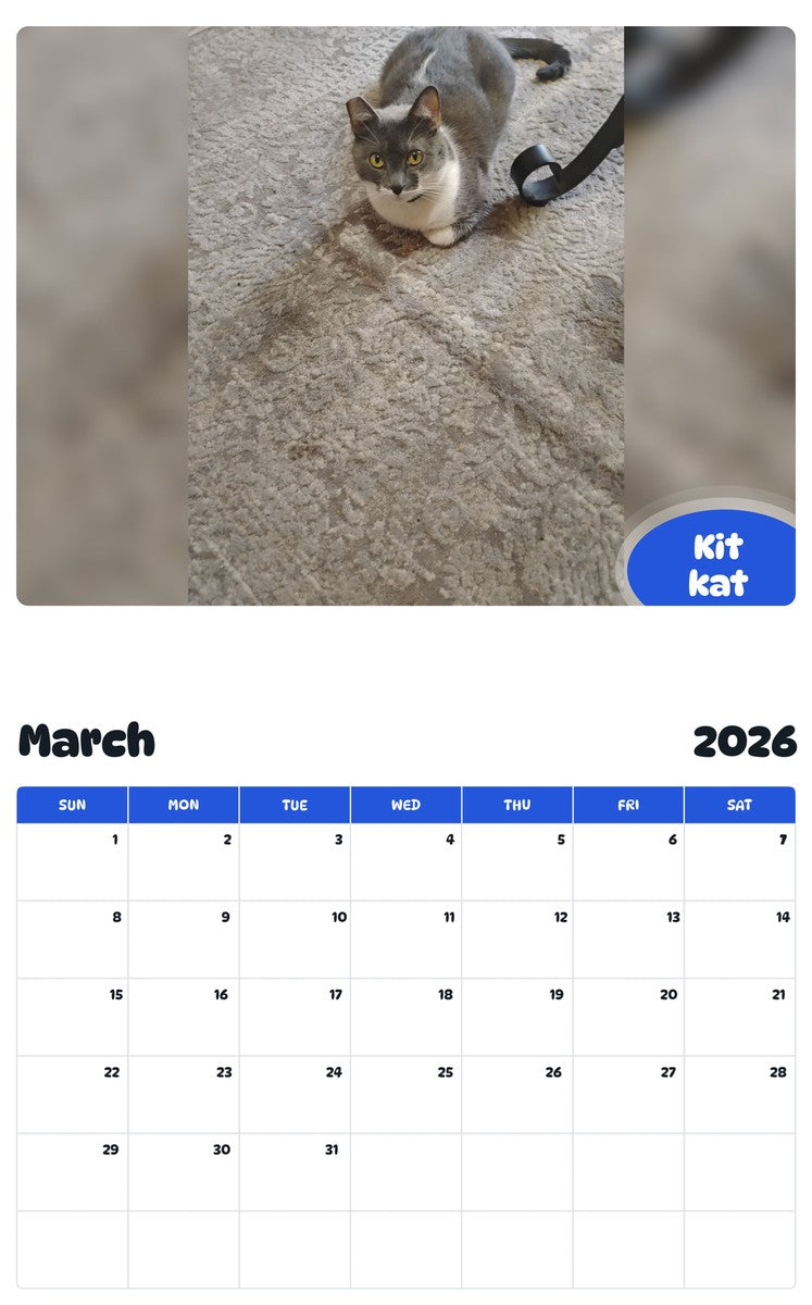 November 2025 - October 2026 Kit kat - Pawidols Pet Calendar