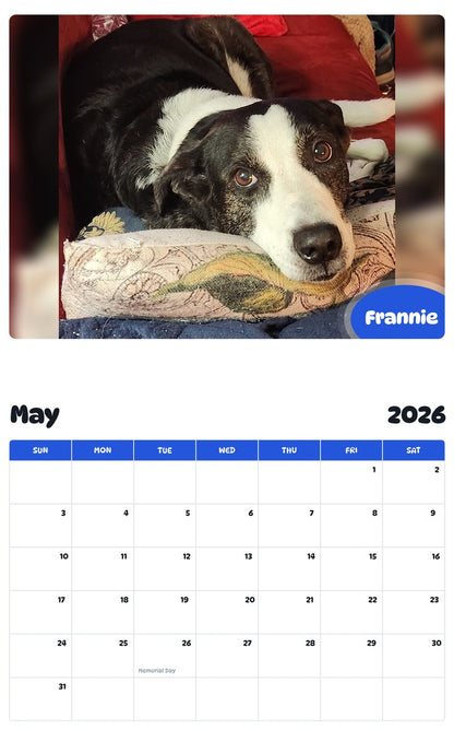 2026 - 2027 Frannie - Pawidols Pet Calendar