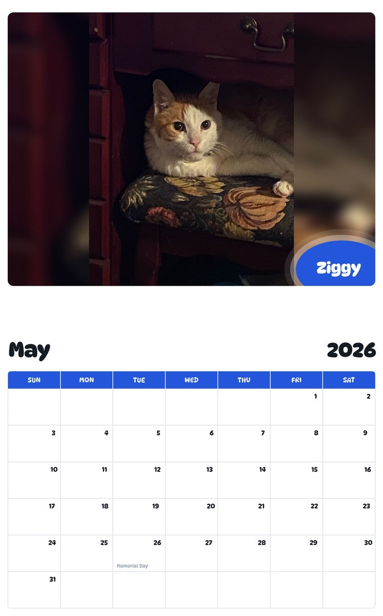 2026 - 2027 Ziggy - Pawidols Pet Calendar