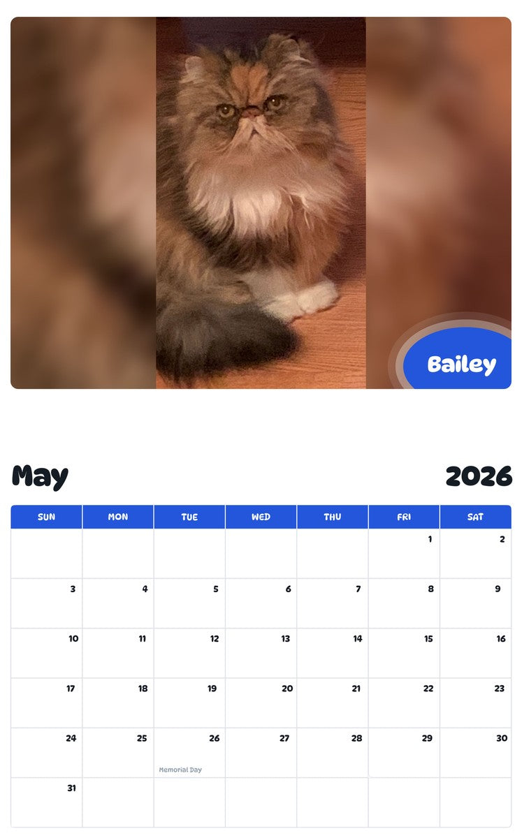 2026 - 2027 Bailey - Pawidols Pet Calendar