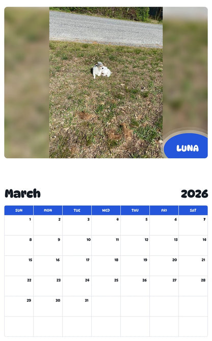 November 2025 - October 2026 LUNA - Pawidols Pet Calendar