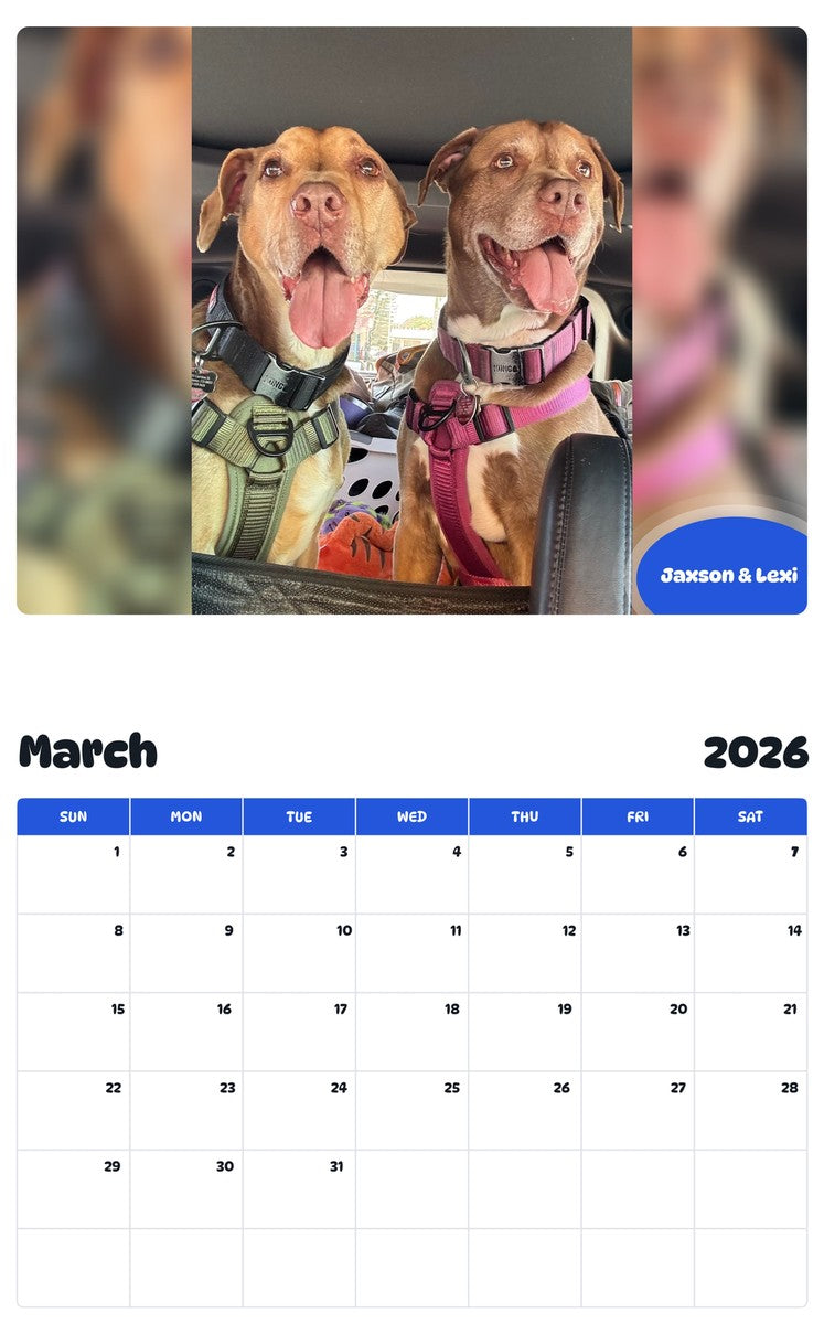 November 2025 - October 2026 Jaxson & Lexi - Pawidols Pet Calendar