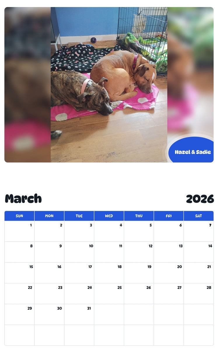 November 2025 - October 2026 Hazel & Sadie - Pawidols Pet Calendar