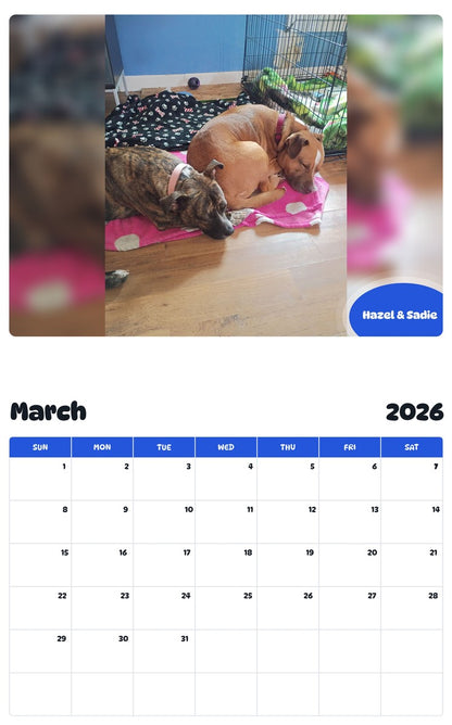 November 2025 - October 2026 Hazel & Sadie - Pawidols Pet Calendar