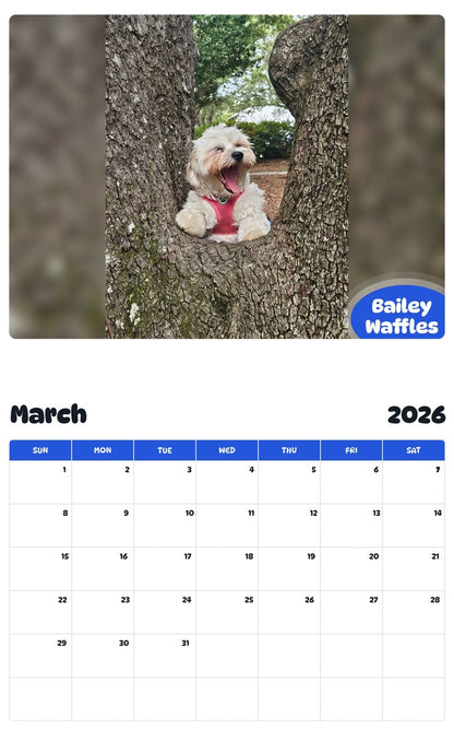 November 2025 - October 2026 Bailey Waffles - Pawidols Pet Calendar