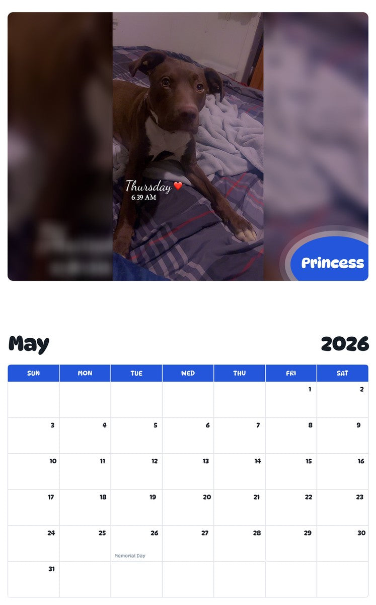 2026 - 2027 Princess - Pawidols Pet Calendar