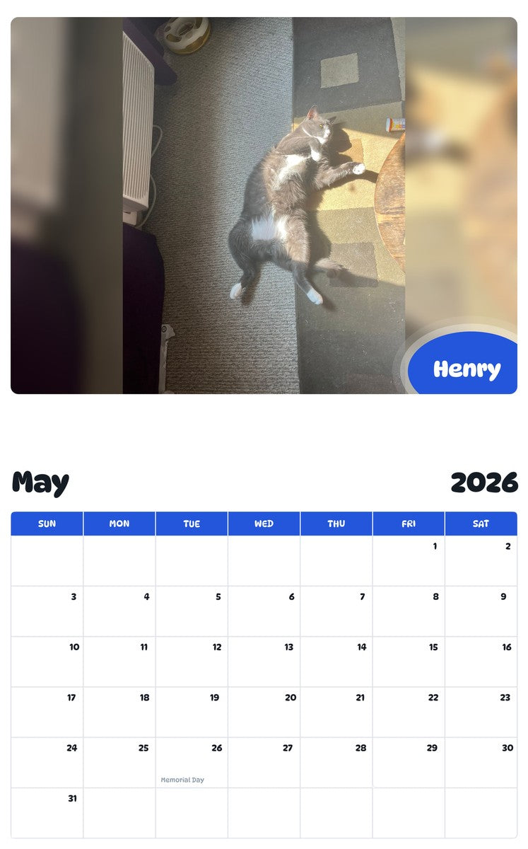 2026 - 2027 Henry - Pawidols Pet Calendar