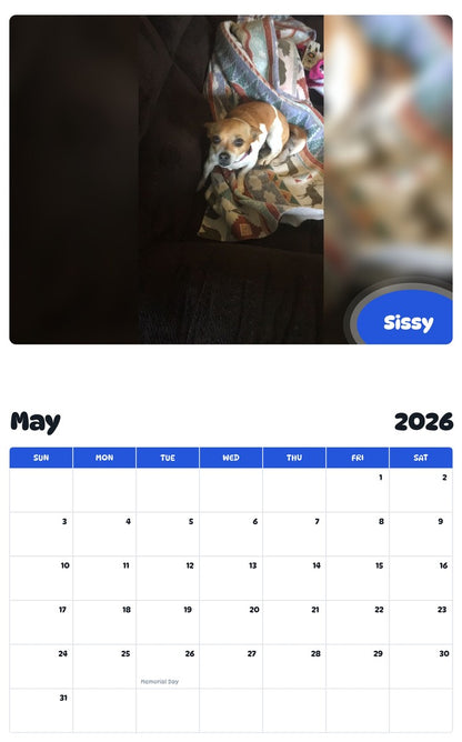 2026 - 2027 Sissy - Pawidols Pet Calendar