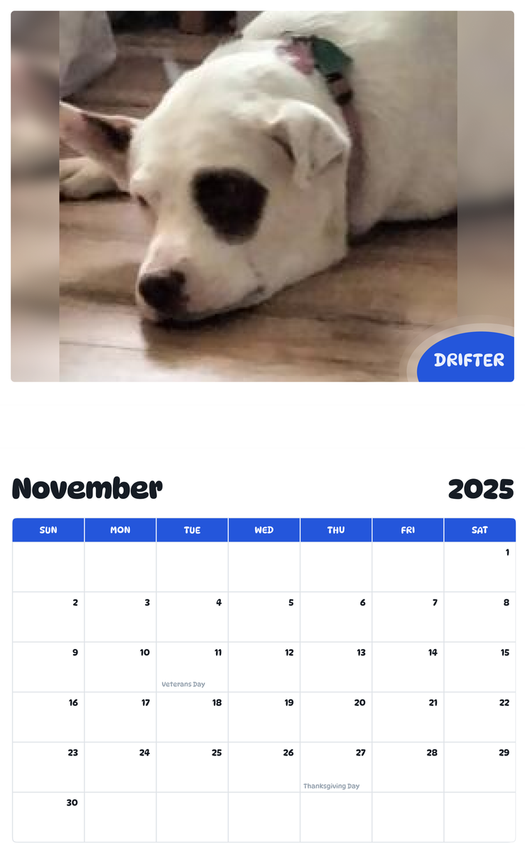 July 2025 - June 2026 Drifter - Pawidols Pet Calendar