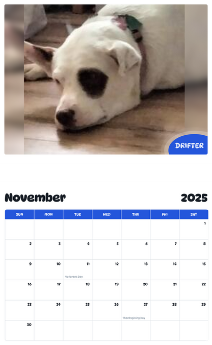 July 2025 - June 2026 Drifter - Pawidols Pet Calendar