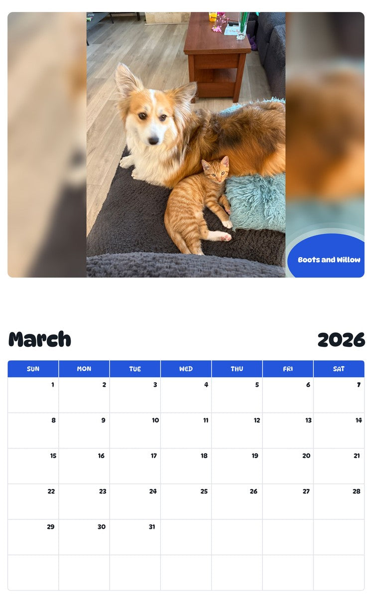 November 2025 - October 2026 Boots and Willow - Pawidols Pet Calendar