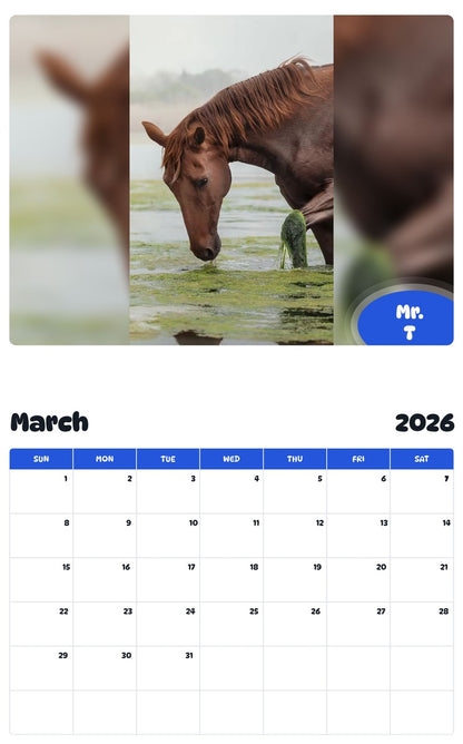 November 2025 - October 2026 Mr. T - Pawidols Pet Calendar