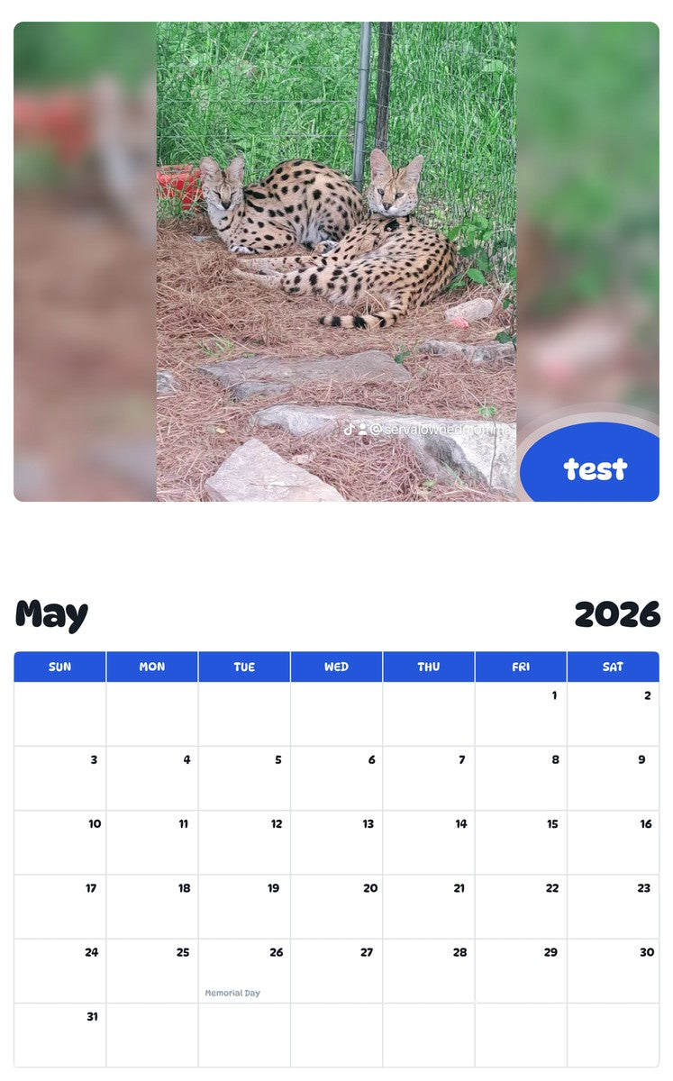 2026 - 2027 test - Pawidols Pet Calendar