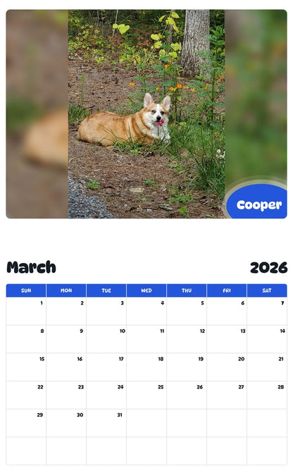 November 2025 - October 2026 Cooper - Pawidols Pet Calendar
