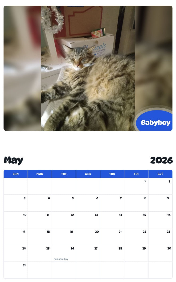 2026 - 2027 Babyboy - Pawidols Pet Calendar