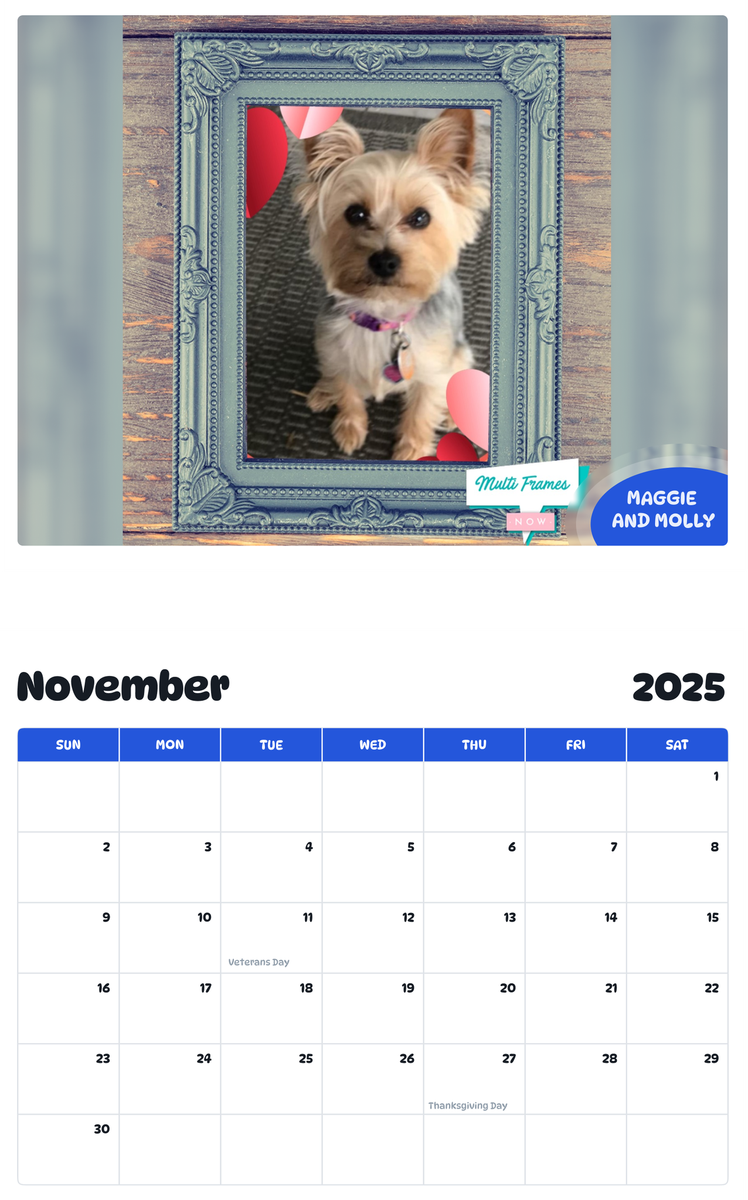 July 2025 - June 2026 Maggie and Molly - Pawidols Pet Calendar