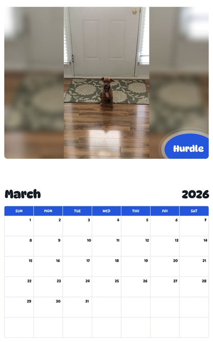 November 2025 - October 2026 Hurdle - Pawidols Pet Calendar