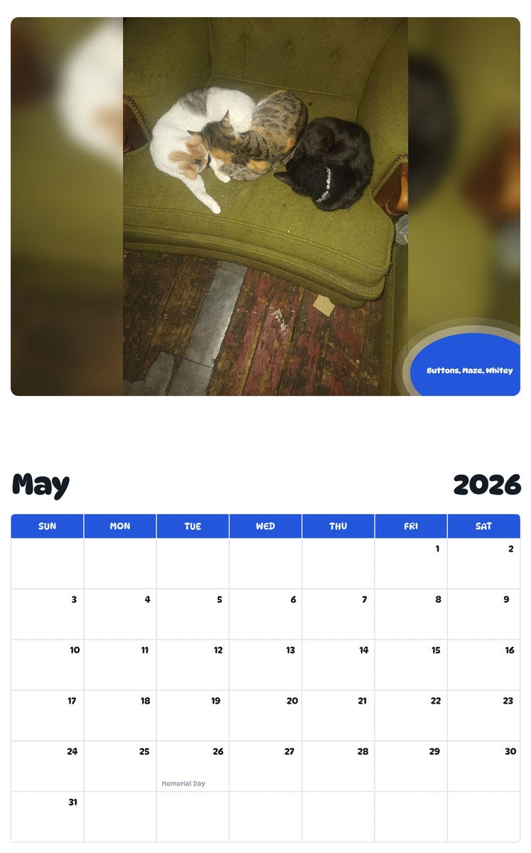2026 - 2027 Buttons, Maze, Whitey - Pawidols Pet Calendar