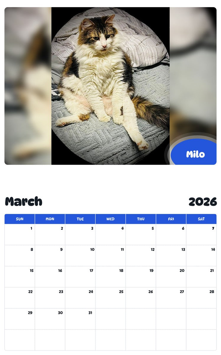November 2025 - October 2026 Milo - Pawidols Pet Calendar
