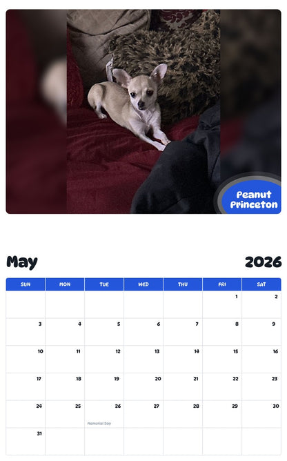 2026 - 2027 Peanut Princeton - Pawidols Pet Calendar