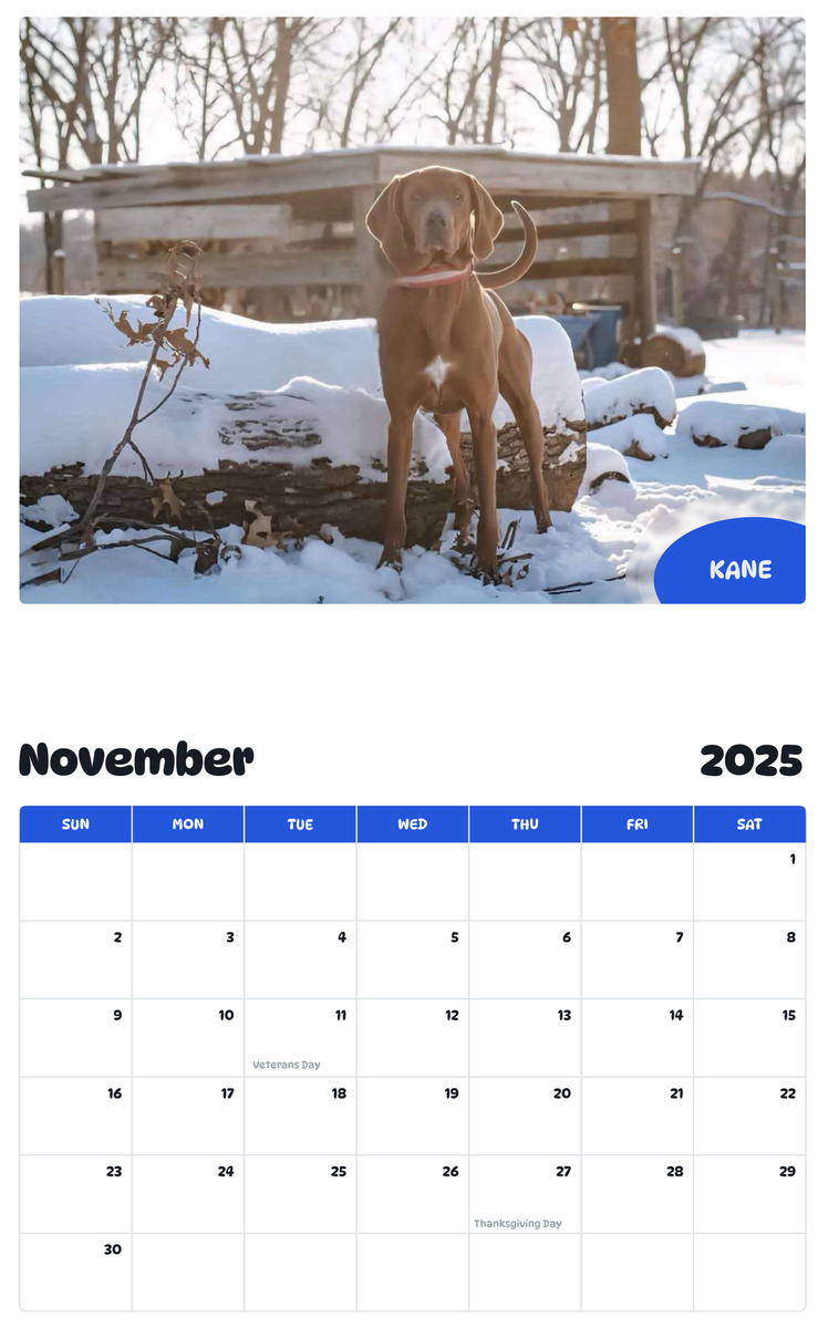 July 2025 - June 2026 Kane - Pawidols Pet Calendar