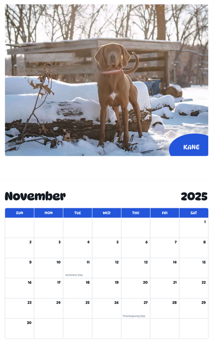 July 2025 - June 2026 Kane - Pawidols Pet Calendar