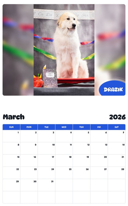 November 2025 - October 2026 DRAZIK - Pawidols Pet Calendar
