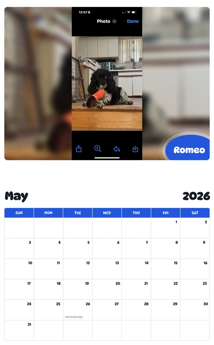 2026 - 2027 Romeo - Pawidols Pet Calendar