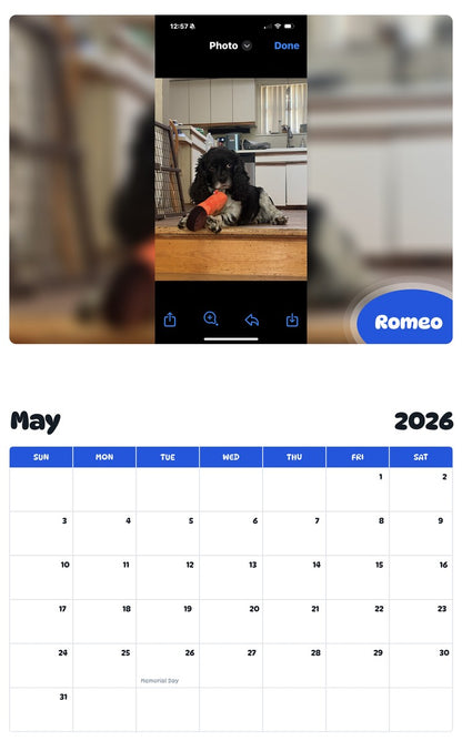 2026 - 2027 Romeo - Pawidols Pet Calendar
