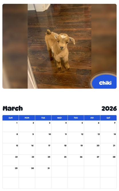 November 2025 - October 2026 Chiki - Pawidols Pet Calendar