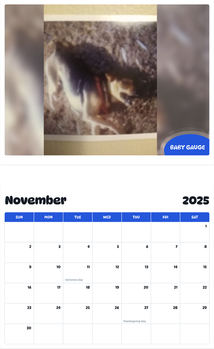 July 2025 - June 2026 Baby gauge - Pawidols Pet Calendar