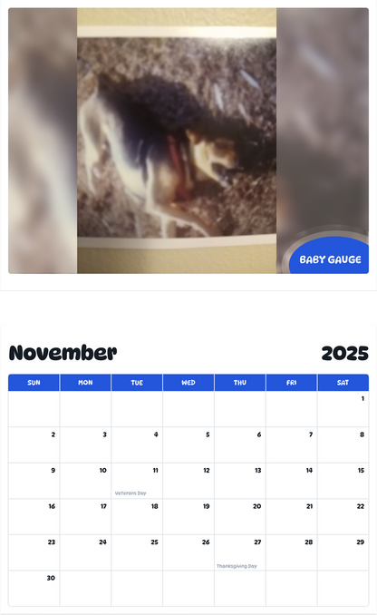 July 2025 - June 2026 Baby gauge - Pawidols Pet Calendar