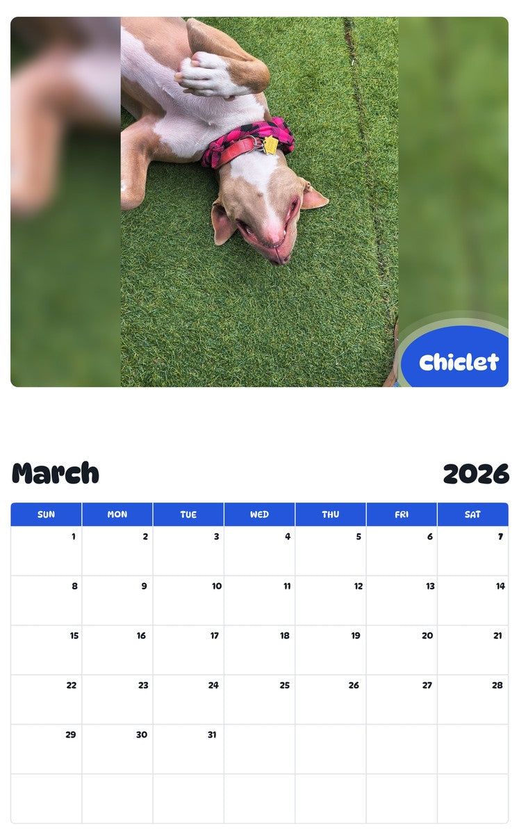 November 2025 - October 2026 Chiclet - Pawidols Pet Calendar