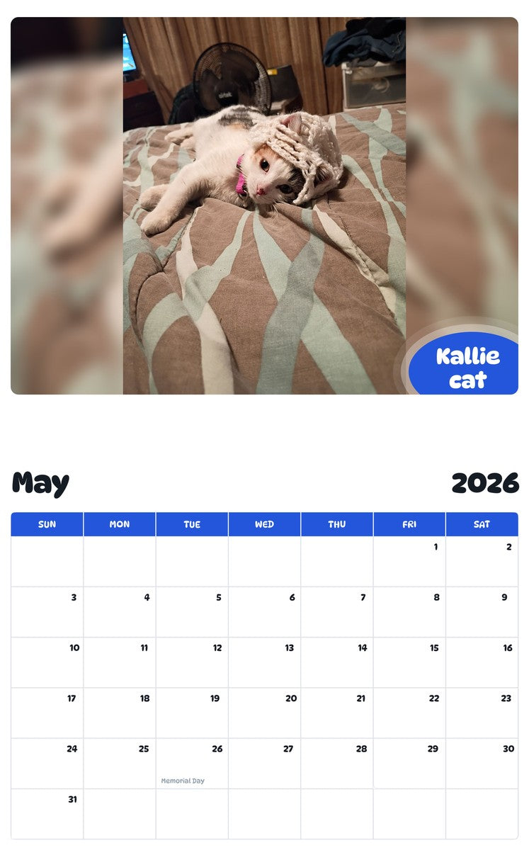 2026 - 2027 Kallie cat - Pawidols Pet Calendar