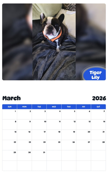 November 2025 - October 2026 Tiger Lily - Pawidols Pet Calendar