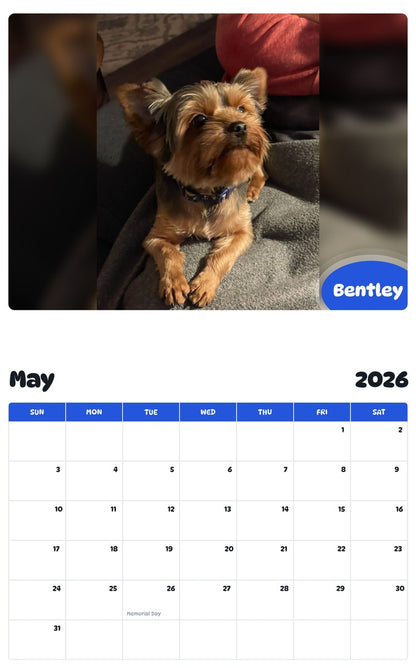 2026 - 2027 Bentley - Pawidols Pet Calendar