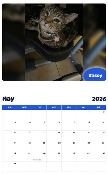 2026 - 2027 Sassy - Pawidols Pet Calendar
