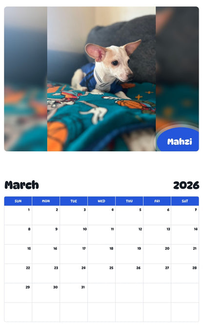 November 2025 - October 2026 Mahzi - Pawidols Pet Calendar