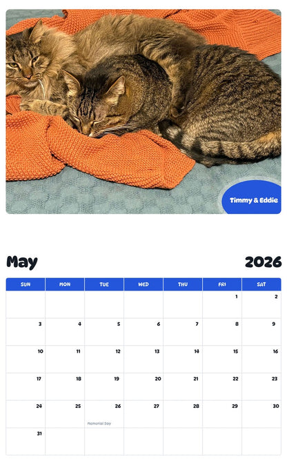 2026 - 2027 Timmy & Eddie - Pawidols Pet Calendar