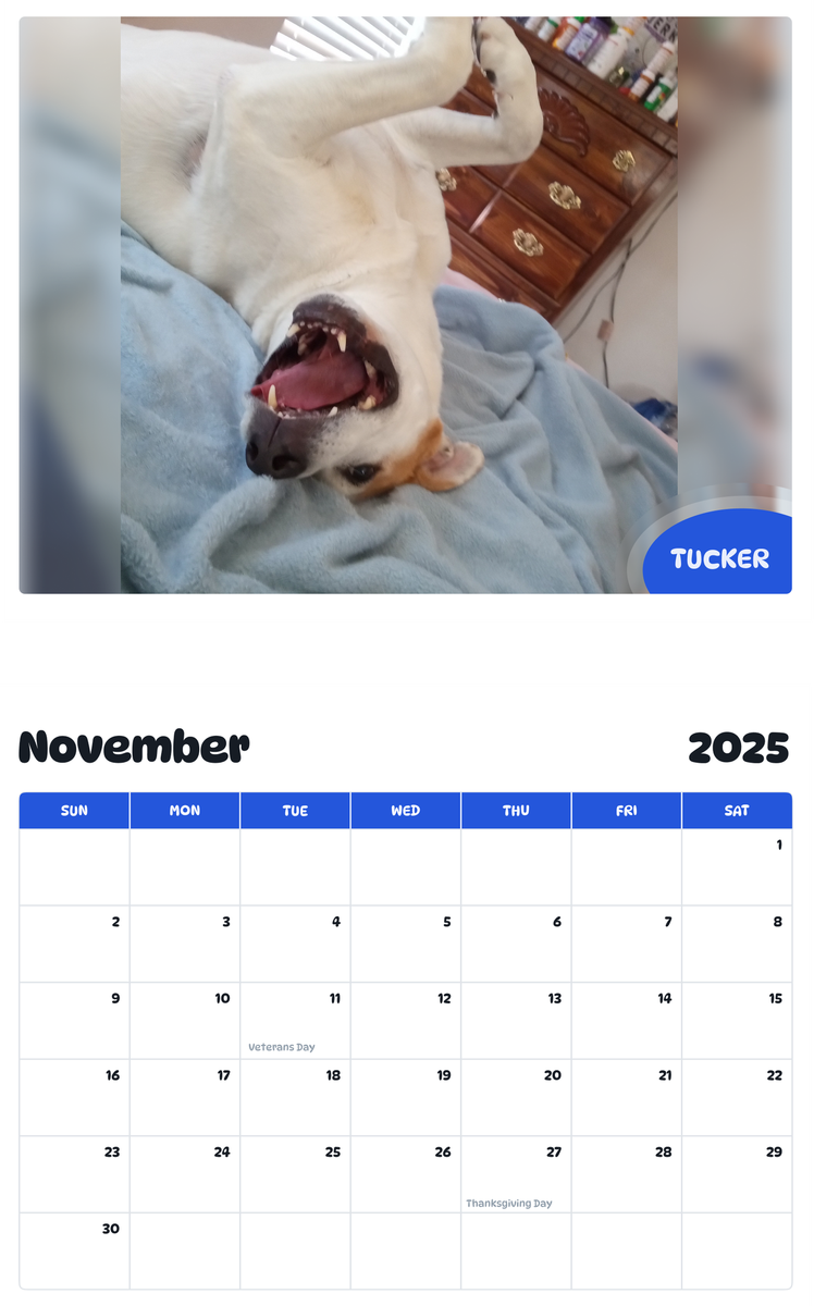 July 2025 - June 2026 Tucker - Pawidols Pet Calendar