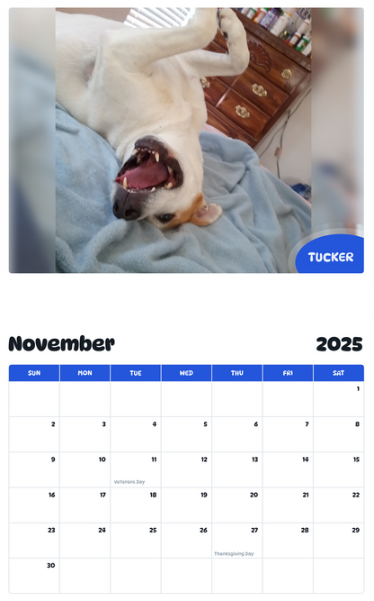 July 2025 - June 2026 Tucker - Pawidols Pet Calendar